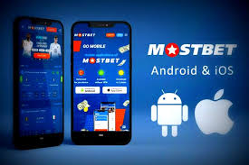 MostBet Evaluation MostBet Evaluation